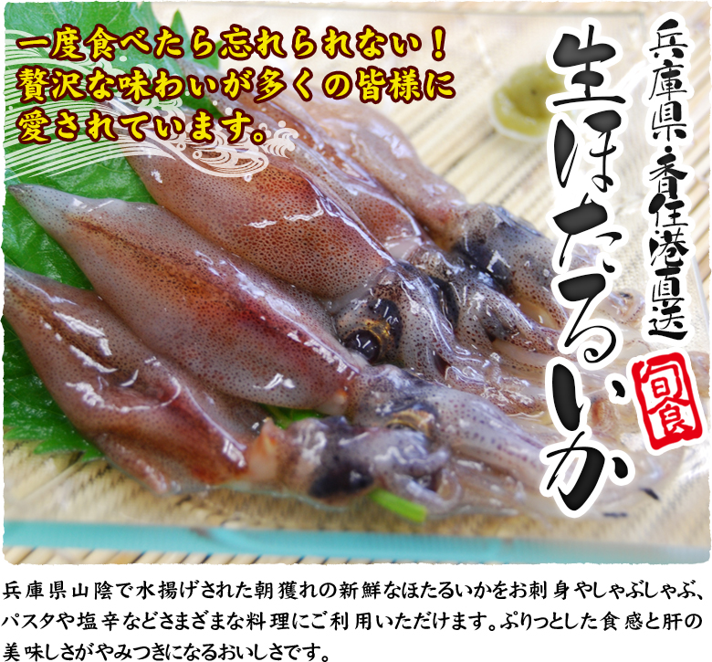 兵庫県・香住港直送 生ほたるいか 一度食べたら忘れられない!贅沢な味わいが多くの皆様に愛されています。