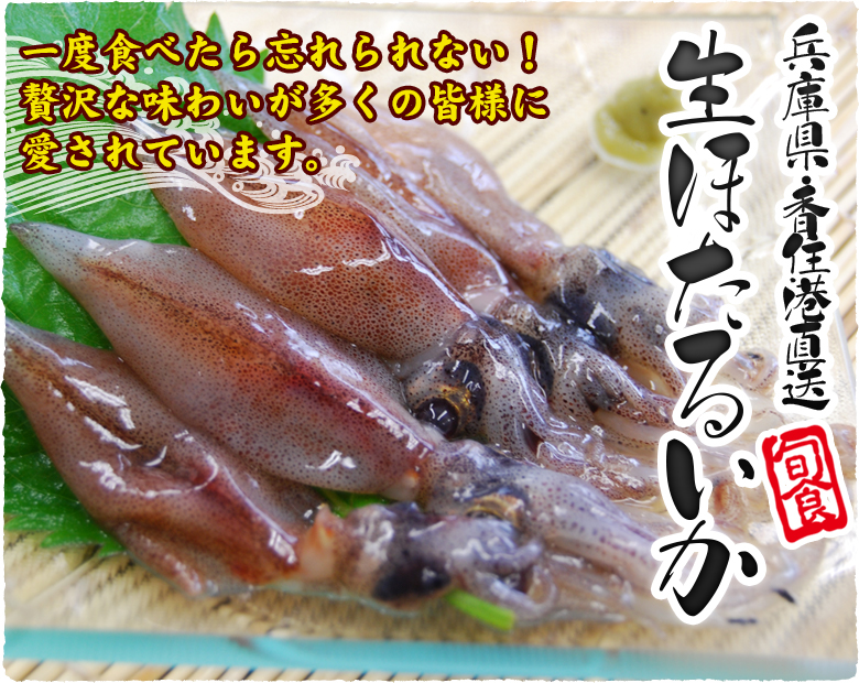 兵庫県・香住港直送　生ほたるいか　一度食べたら忘れられない！贅沢な味わいが多くの皆様に愛されています。
