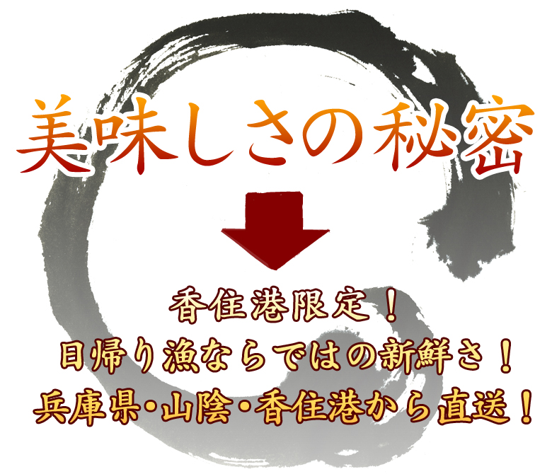 美味しさの秘密 香住港限定!日帰り漁ならではの新鮮さ! 兵庫県・山陰香住港から直送!