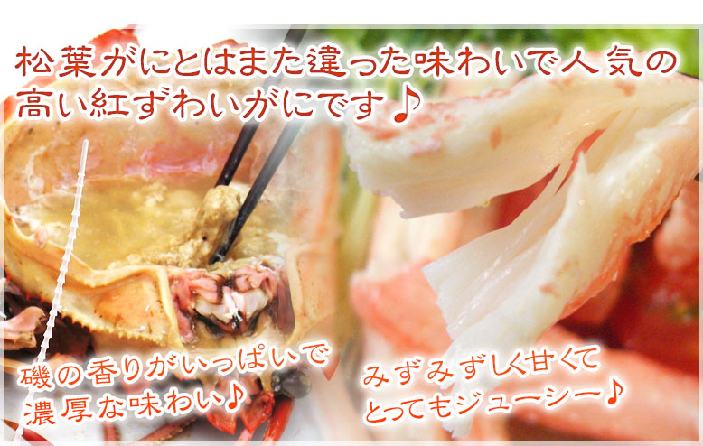 松葉かにとはまた違った味わいで人気の高い香住ガニ(紅ずわいがに)です♪