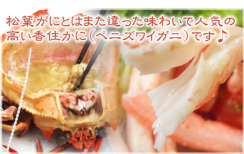 松葉かにとはまた違った味わいで人気の高い香住ガニ(紅ずわいがに)です♪