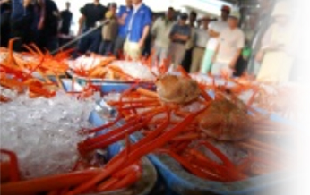 セリにて、より鮮度の高い蟹を買い付け。