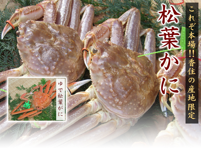 松葉かにとは マルヨダイレクト