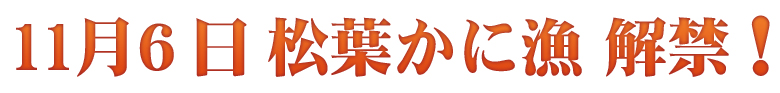 11月6日松葉かに漁解禁!