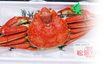 ゆで松葉かに