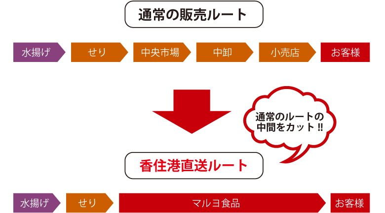 販売ルート