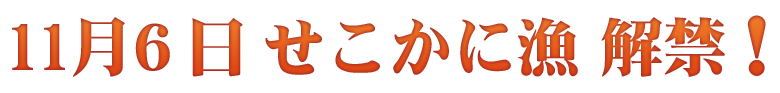 11月6日せこかに漁解禁!