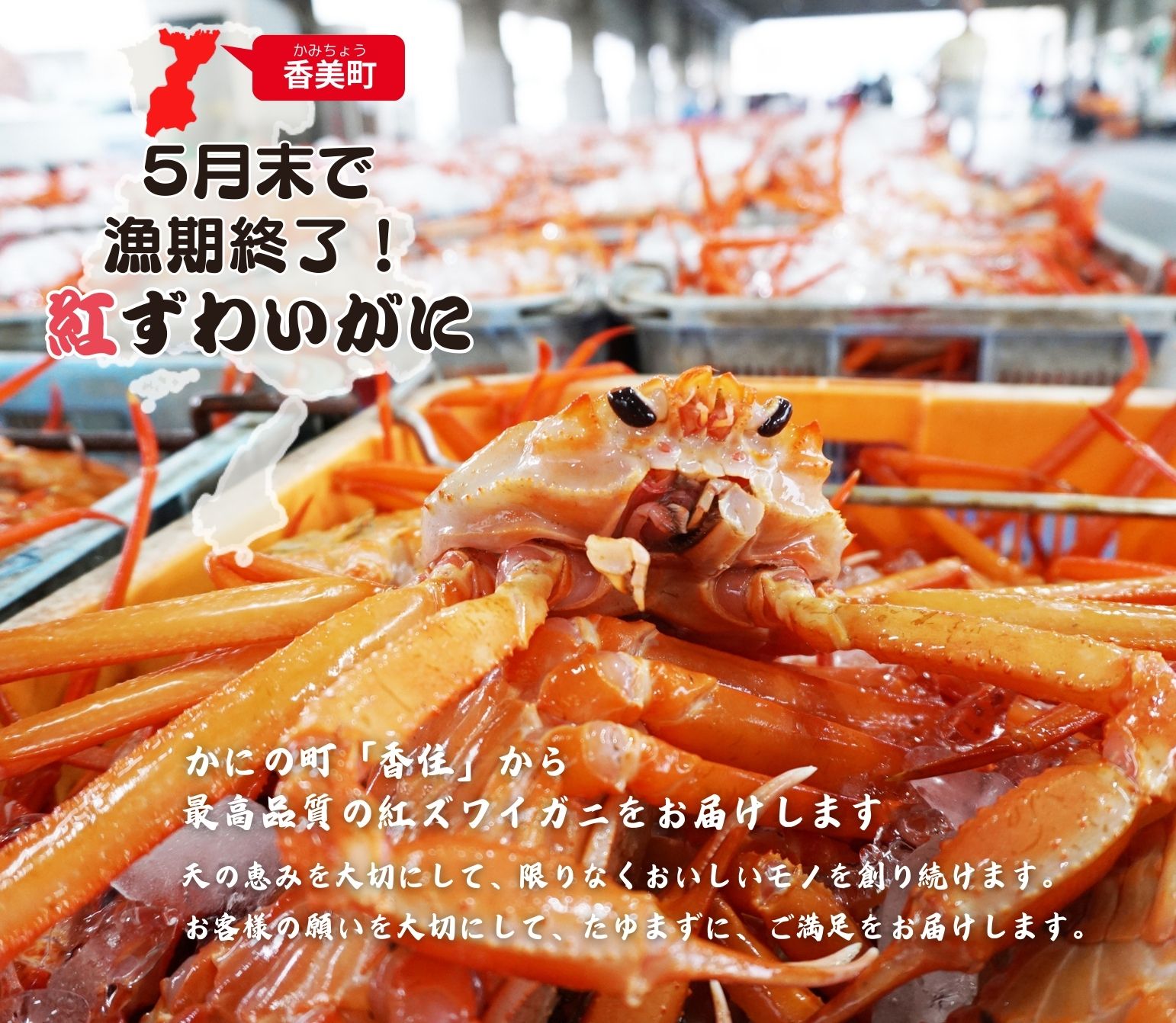 感動の味わい最高のカニ