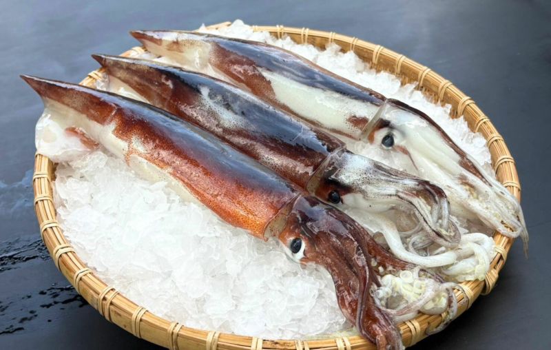 するめいか様専用 丸物15キロ（スルメイカ（釣物） 【業務用